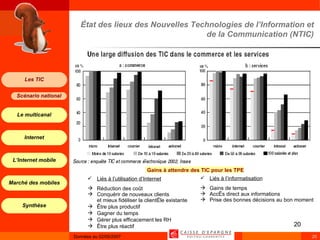 Liés à l’informatisation Gains de temps Accès direct aux informations Prise des bonnes décisions au bon moment État des lieux des Nouvelles Technologies de l’Information et de la Communication (NTIC) Liés à l’utilisation d’Internet Réduction des coût Conquérir de nouveaux clients  et mieux fidéliser la clientèle existante Être plus productif Gagner du temps Gérer plus efficacement les RH Être plus réactif Gains à attendre des TIC pour les TPE 