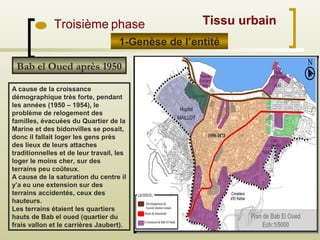 Bab el Oued après 1950
A cause de la croissance
démographique très forte, pendant
les années (1950 – 1954), le
problème de relogement des
familles, évacuées du Quartier de la
Marine et des bidonvilles se posait,
donc il fallait loger les gens près
des lieux de leurs attaches
traditionnelles et de leur travail, les
loger le moins cher, sur des
terrains peu coûteux.
A cause de la saturation du centre il
y’a eu une extension sur des
terrains accidentés, ceux des
hauteurs.
Les terrains étaient les quartiers
hauts de Bab el oued (quartier du
frais vallon et le carrières Jaubert).
1-Genèse de l’entité
Troisième phase Tissu urbain
 