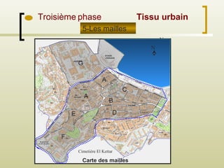 Troisième phase
5-Les mailles
N
N
Cimetière El Kettar
A
A
B
C
DE
F
G
Tissu urbain
Carte des mailles
 