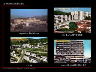 II. ANALYSE URBAINE
Hôpital de Tizi-Ouzou
Immeuble du DJURDJURA
Source: internet.www.googl.fr/photos de la ville de Tizi-Ouzou.htm
les EUCAIYPTUS
H.L.M
 