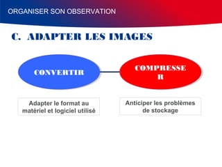 ORGANISER SON OBSERVATION

C. ADAPTER LES IMAGES

CONVERTIR
CONVERTIR

COMPRESSE
COMPRESSE
R
R

Adapter le format au
matériel et logiciel utilisé

Anticiper les problèmes
de stockage

 