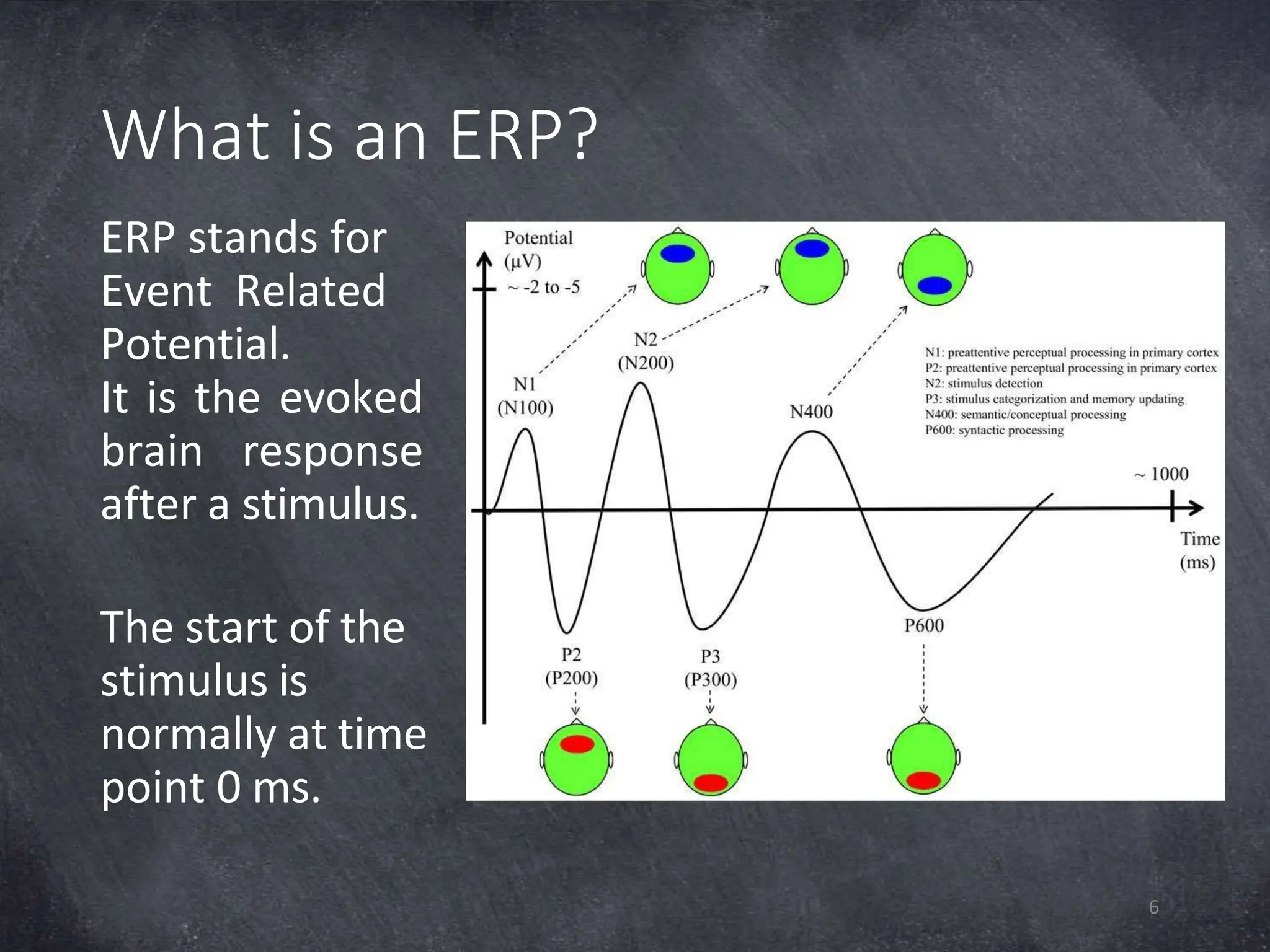 What is an ERP?
ERP stands for
Event Related
Potential.
It is the evoked
brain response
after a stimulus.
The start of the
stimulus is
normally at time
point 0 ms.
6
 