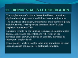 Analysing lakes | PPT