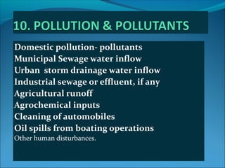 Domestic pollution- pollutants
Municipal Sewage water inflow
Urban storm drainage water inflow
Industrial sewage or efflue...