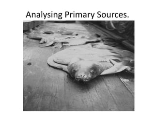 Analysing Primary Sources. 