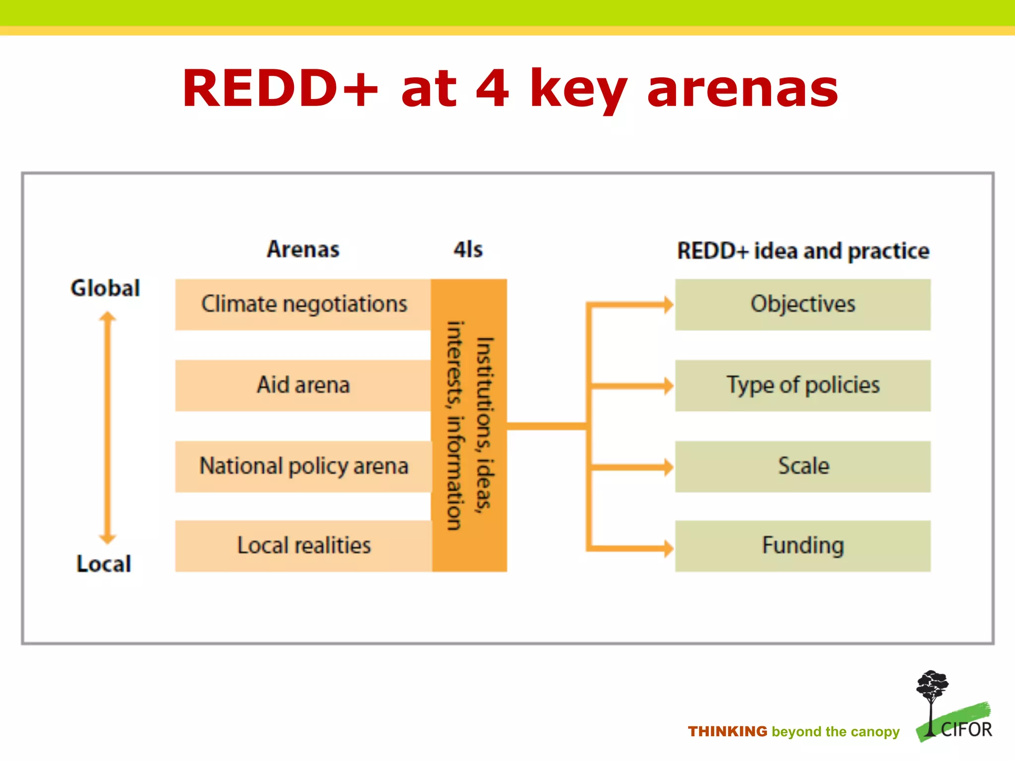 REDD+ at 4 key arenas
THINKING beyond the canopy