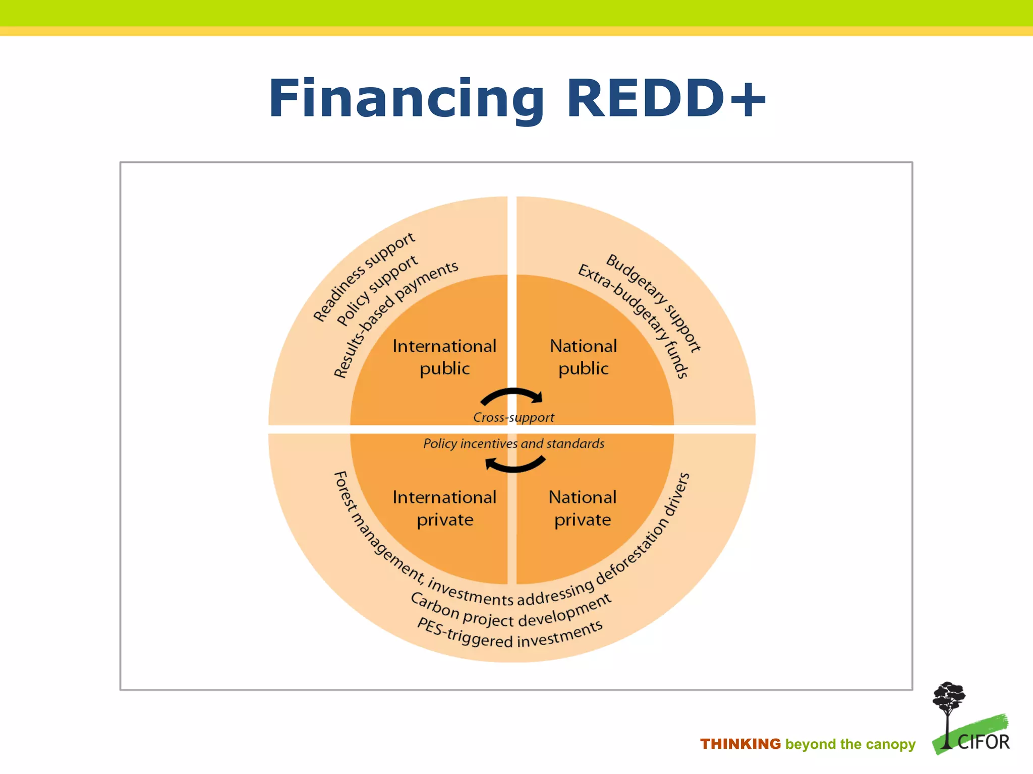 Financing REDD+
THINKING beyond the canopy