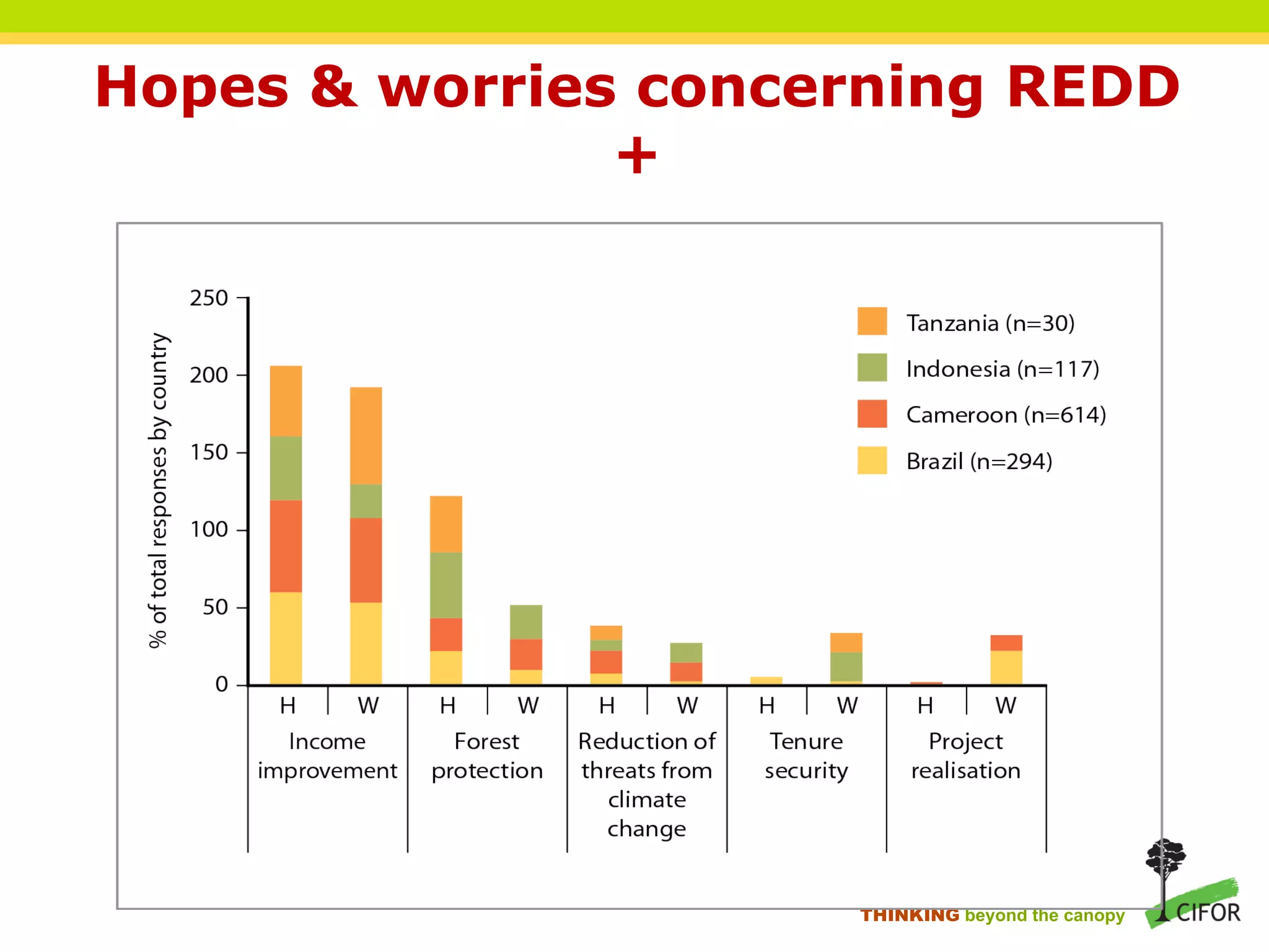 Hopes & worries concerning REDD
+
THINKING beyond the canopy
