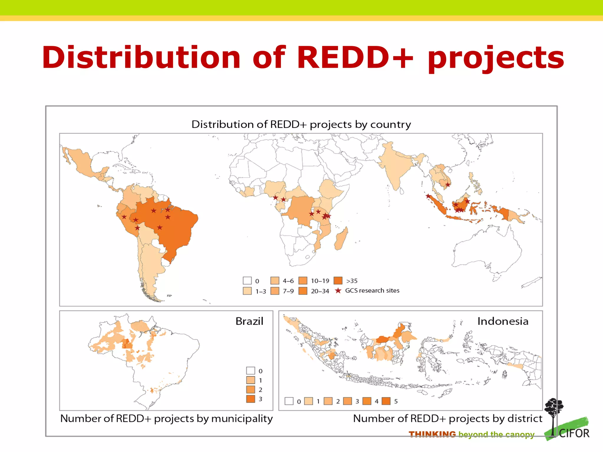 Distribution of REDD+ projects
THINKING beyond the canopy