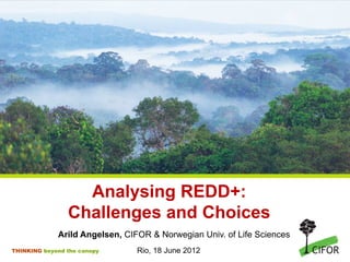 Analysing REDD+:
                Challenges and Choices
             Arild Angelsen, CIFOR & Norwegian Univ. of Life Scien...