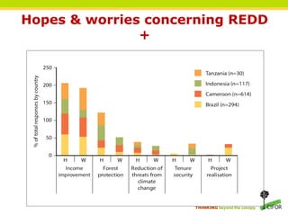 Hopes & worries concerning REDD
               +




                     THINKING beyond the canopy
 