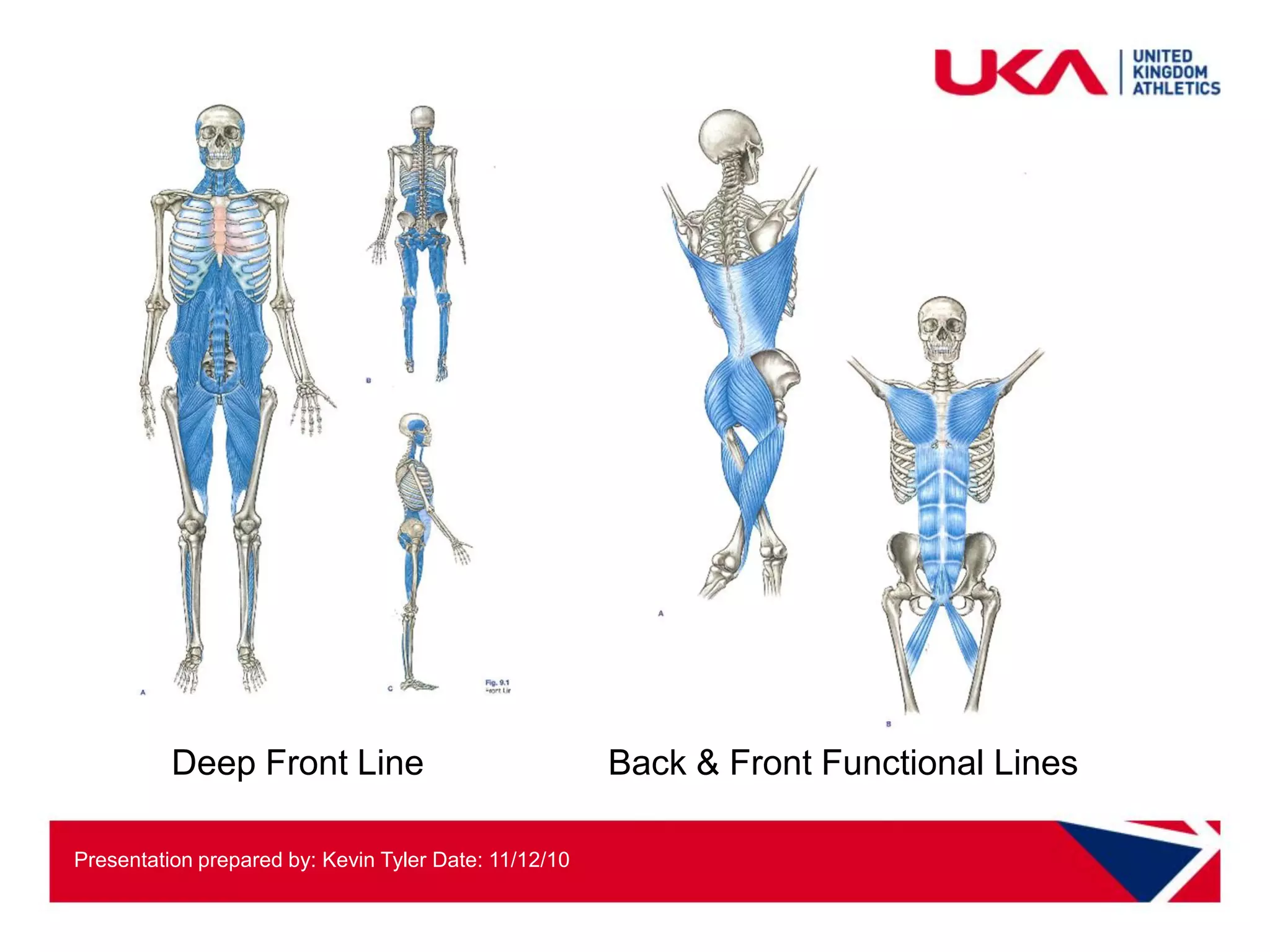 Deep Front Line                              Back & Front Functional Lines

Presentation prepared by: Kevin Tyler Date: 11/12/10
 