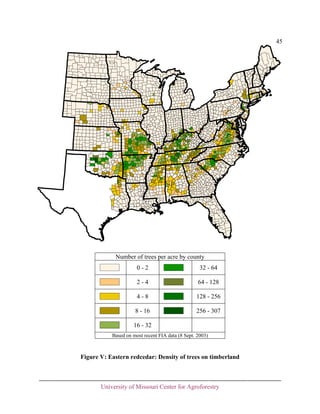 45

Number of trees per acre by county
0-2

32 - 64

2-4

64 - 128

4-8

128 - 256

8 - 16

256 - 307

16 - 32
Based on most recent FIA data (8 Sept. 2003)

Figure V: Eastern redcedar: Density of trees on timberland

University of Missouri Center for Agroforestry

 
