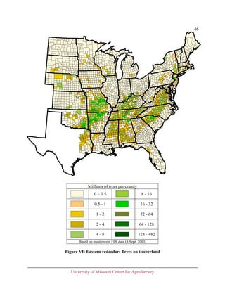 46

Millions of trees per county
0 – 0.5

8 - 16

0.5 - 1

16 - 32

1-2

32 - 64

2-4

64 - 128

4-8

128 - 482

Based on most recent FIA data (8 Sept. 2003)

Figure VI: Eastern redcedar: Trees on timberland

University of Missouri Center for Agroforestry

 