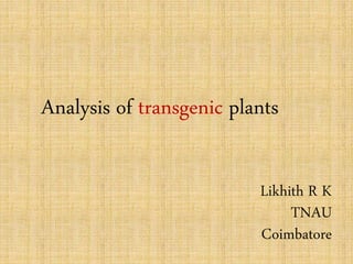 Analysis of transgenic plants
Likhith R K
TNAU
Coimbatore
 