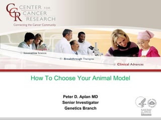 How To Choose Your Animal Model
Peter D. Aplan MD
Senior Investigator
Genetics Branch
 