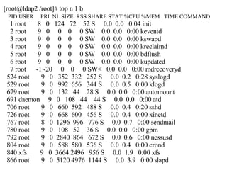 [root@ldap2 /root]# top n 1 b PID USER  PRI  NI  SIZE  RSS SHARE STAT %CPU %MEM  TIME COMMAND 1 root  8  0  124  72  52 S  0.0  0.0  0:04 init 2 root  9  0  0  0  0 SW  0.0  0.0  0:00 keventd 3 root  9  0  0  0  0 SW  0.0  0.0  0:00 kswapd 4 root  9  0  0  0  0 SW  0.0  0.0  0:00 kreclaimd 5 root  9  0  0  0  0 SW  0.0  0.0  0:00 bdflush 6 root  9  0  0  0  0 SW  0.0  0.0  0:00 kupdated 7 root  -1 -20  0  0  0 SW<  0.0  0.0  0:00 mdrecoveryd 524 root  9  0  352  332  252 S  0.0  0.2  0:28 syslogd 529 root  9  0  992  656  344 S  0.0  0.5  0:00 klogd 679 root  9  0  132  44  28 S  0.0  0.0  0:00 automount 691 daemon  9  0  108  44  44 S  0.0  0.0  0:00 atd 706 root  9  0  660  592  488 S  0.0  0.4  0:20 sshd 726 root  9  0  668  600  456 S  0.0  0.4  0:00 xinetd 767 root  8  0  1296  996  776 S  0.0  0.7  0:00 sendmail 780 root  9  0  108  52  36 S  0.0  0.0  0:00 gpm 792 root  9  0  2840  864  672 S  0.0  0.6  0:00 nessusd 804 root  9  0  588  580  536 S  0.0  0.4  0:00 crond 840 xfs  9  0  3664 2496  956 S  0.0  1.9  0:00 xfs 866 root  9  0  5120 4976  1144 S  0.0  3.9  0:00 slapd 