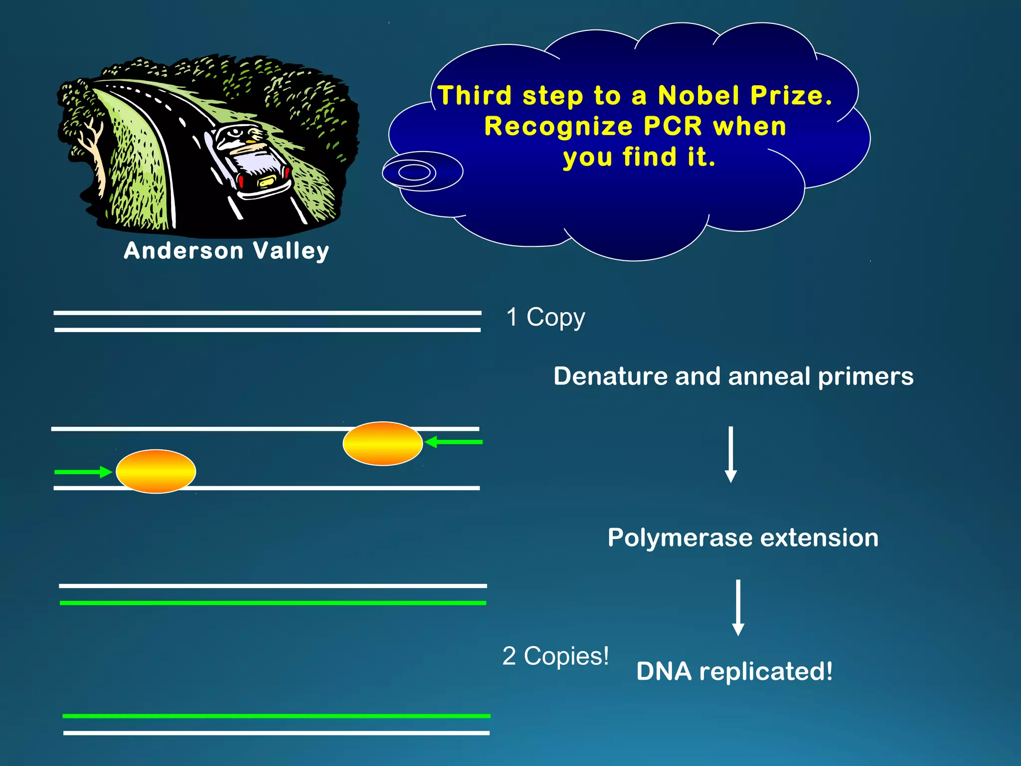 Denature and anneal primers
Polymerase extension
DNA replicated!
Anderson Valley
Third step to a Nobel Prize.
Recognize PCR when
you find it.
1 Copy
2 Copies!
 