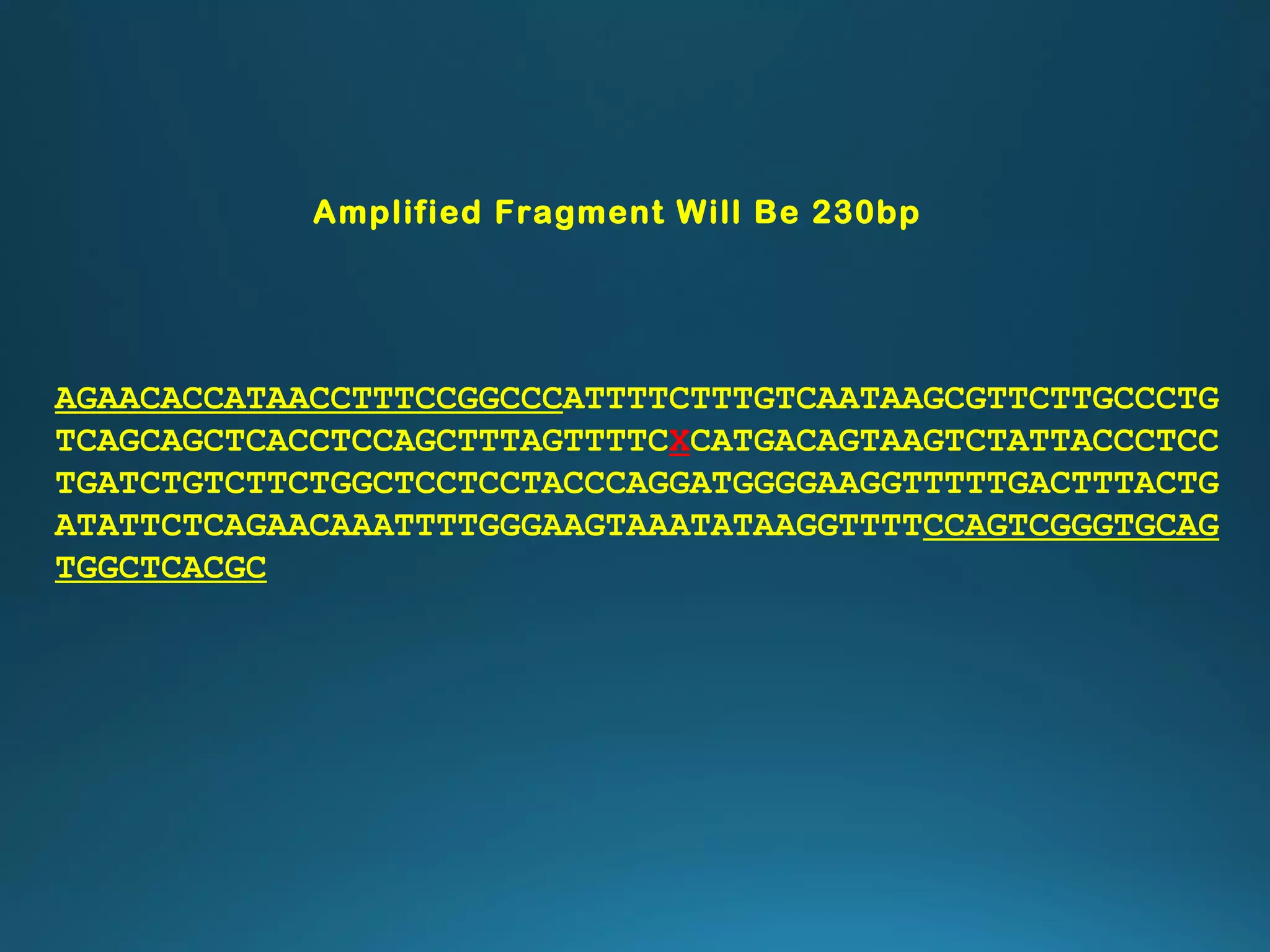 AGAACACCATAACCTTTCCGGCCCATTTTCTTTGTCAATAAGCGTTCTTGCCCTG
TCAGCAGCTCACCTCCAGCTTTAGTTTTCXCATGACAGTAAGTCTATTACCCTCC
TGATCTGTCTTCTGGCTCCTCCTACCCAGGATGGGGAAGGTTTTTGACTTTACTG
ATATTCTCAGAACAAATTTTGGGAAGTAAATATAAGGTTTTCCAGTCGGGTGCAG
TGGCTCACGC
Amplified Fragment Will Be 230bp
 