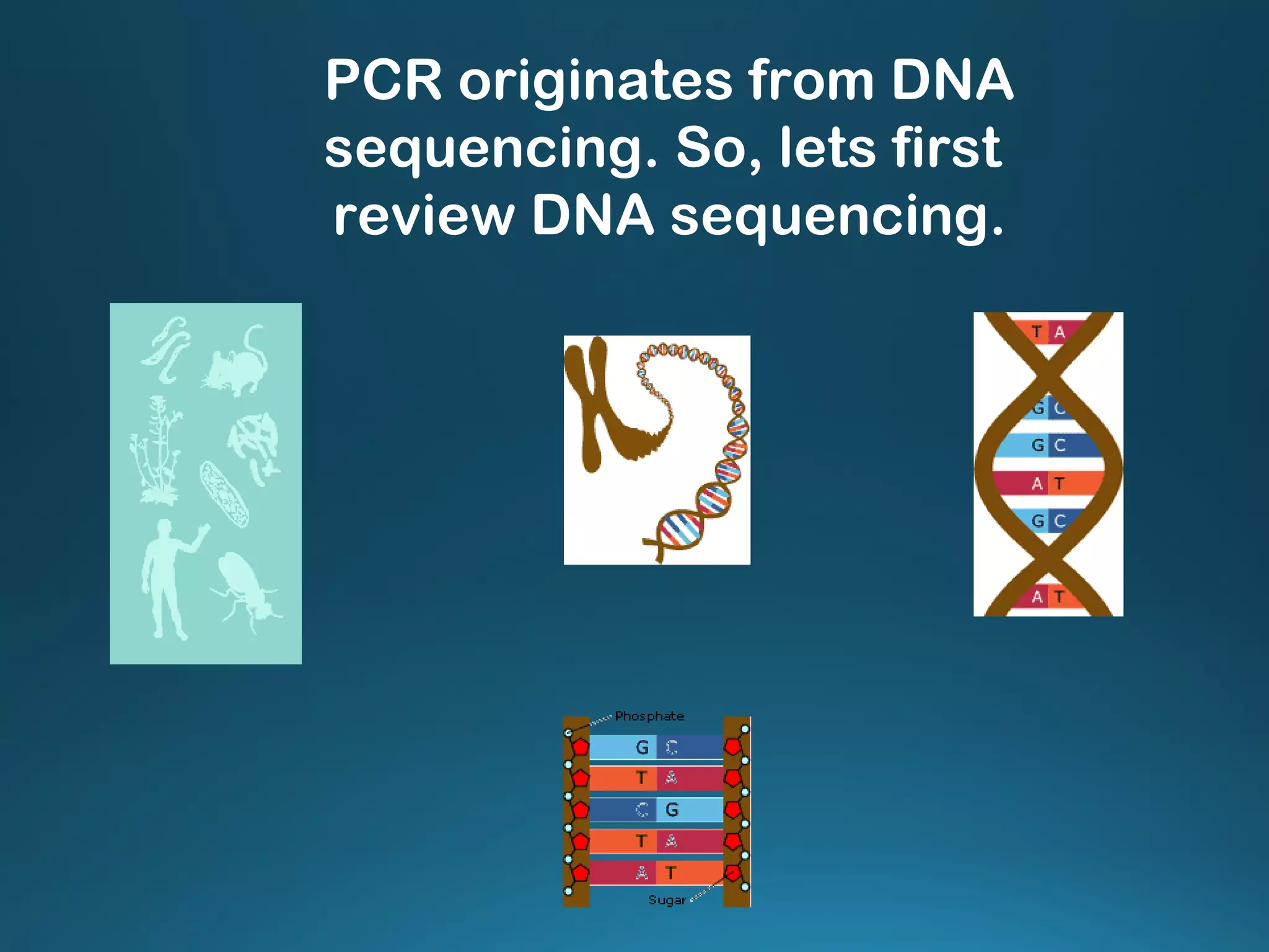 PCR originates from DNA
sequencing. So, lets first
review DNA sequencing.
 