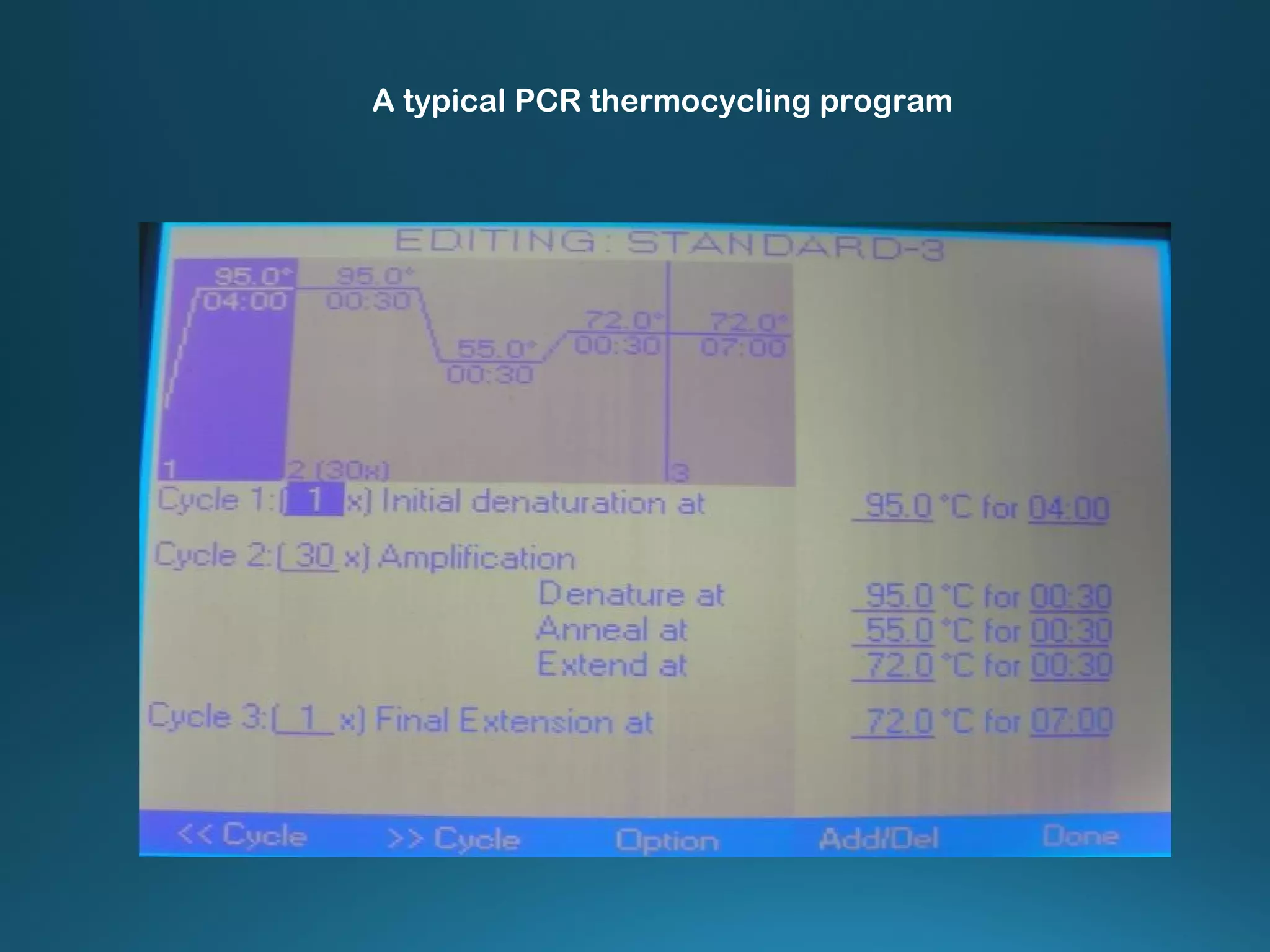 A typical PCR thermocycling program
 
