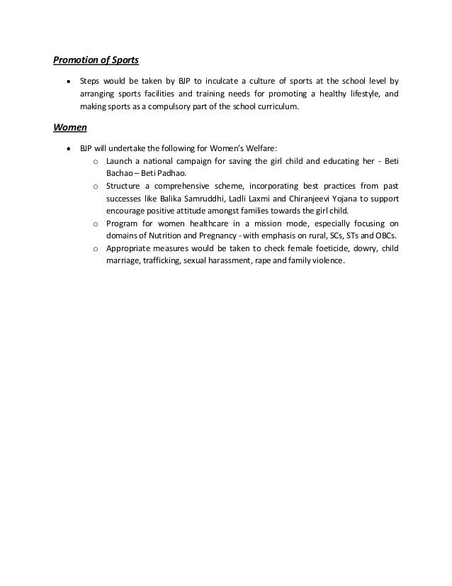 Politicians promises essay picture