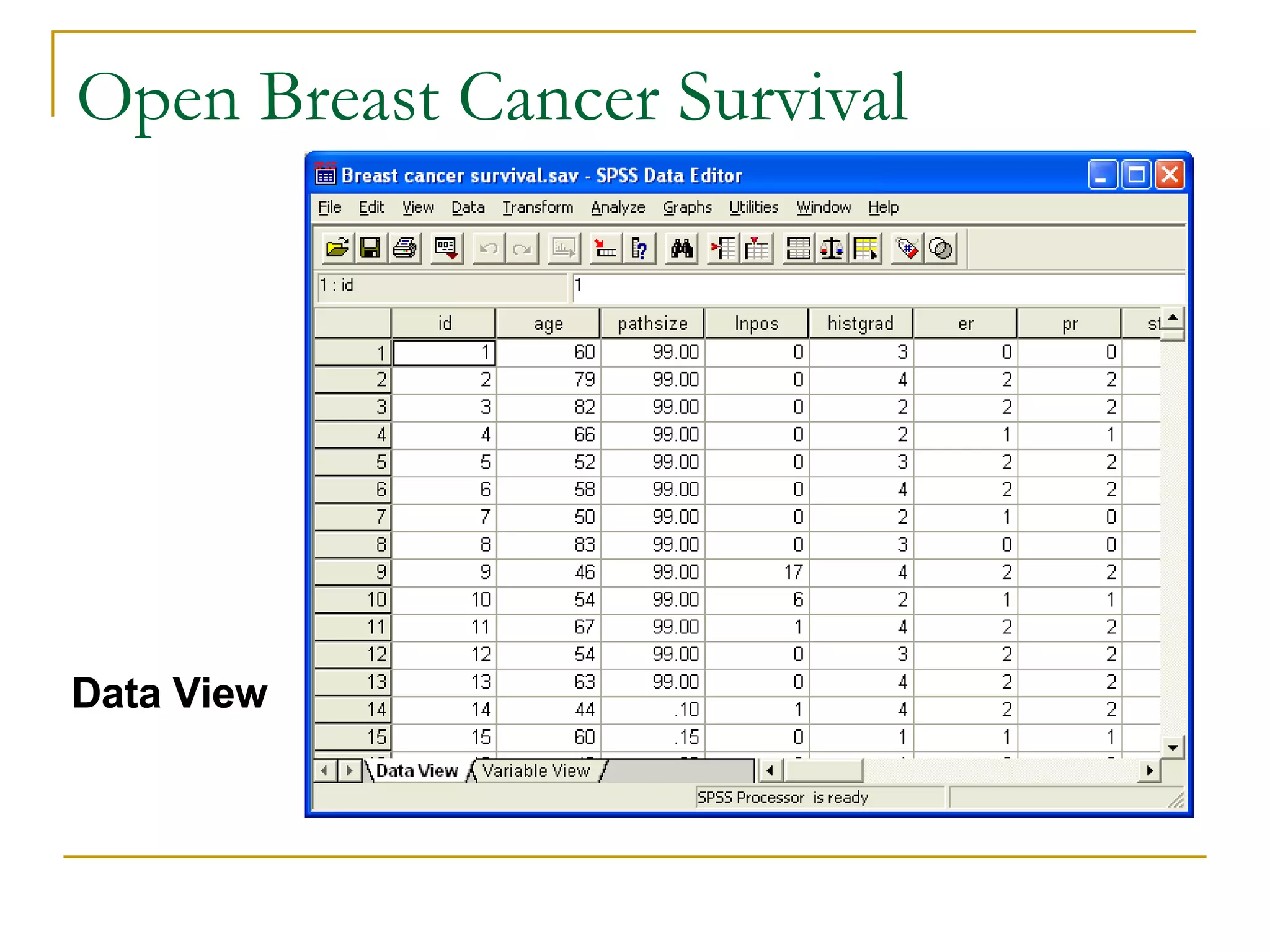Open Breast Cancer Survival Data View 