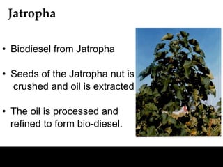 Analysis of biomass and biofuels | PPT