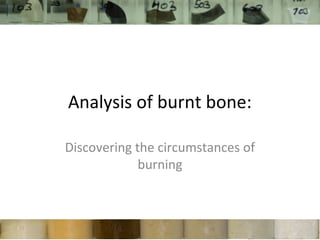 Analysis of burnt bone:

Discovering the circumstances of
             burning
 