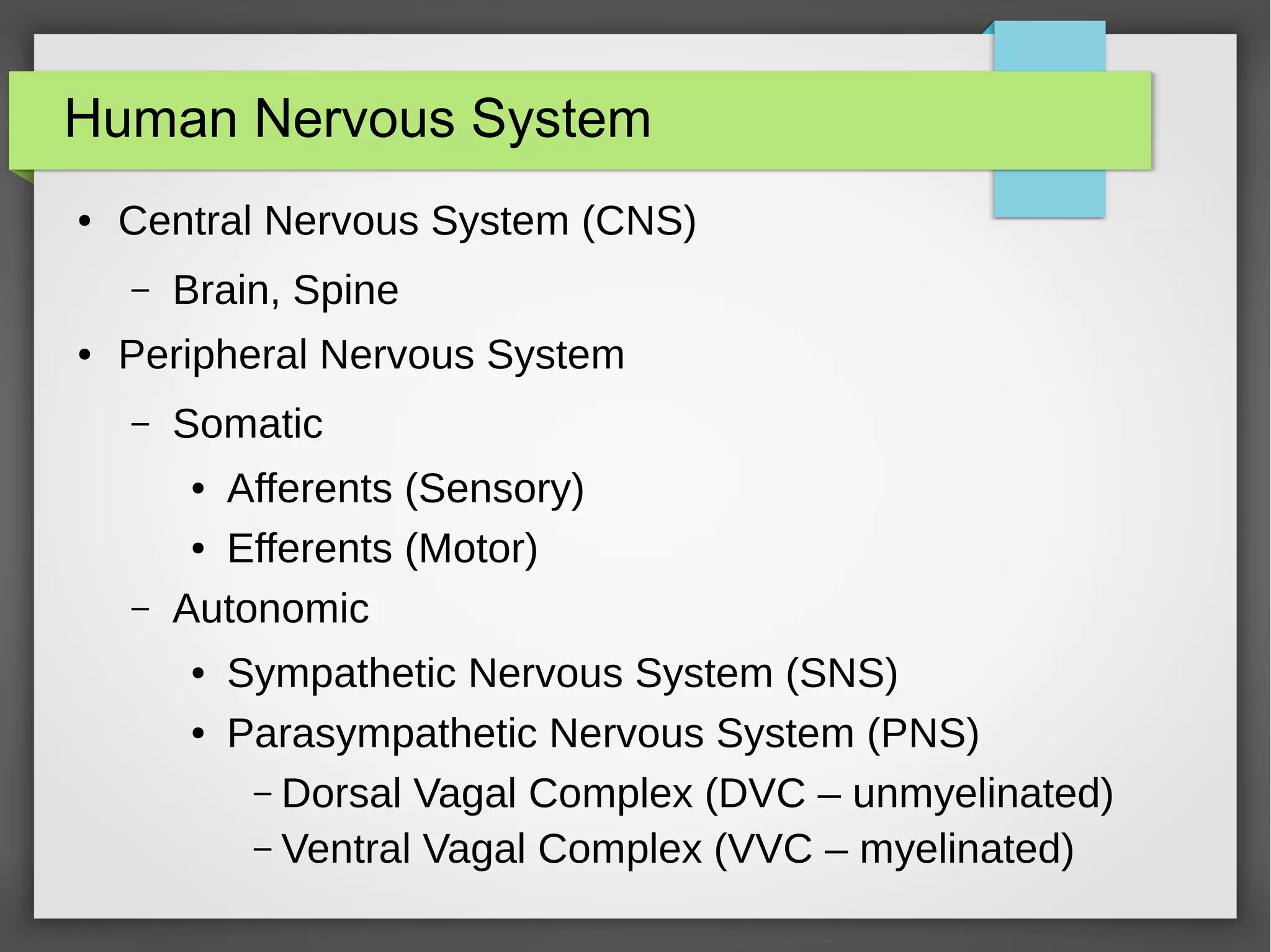 Human Nervous System
● Central Nervous System (CNS)
– Brain, Spine
● Peripheral Nervous System
– Somatic
● Afferents (Sensory)
● Efferents (Motor)
– Autonomic
● Sympathetic Nervous System (SNS)
● Parasympathetic Nervous System (PNS)
– Dorsal Vagal Complex (DVC – unmyelinated)
– Ventral Vagal Complex (VVC – myelinated)
 