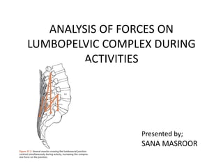 ANALYSIS OF FORCES ON
LUMBOPELVIC COMPLEX DURING
ACTIVITIES
Presented by;
SANA MASROOR
 