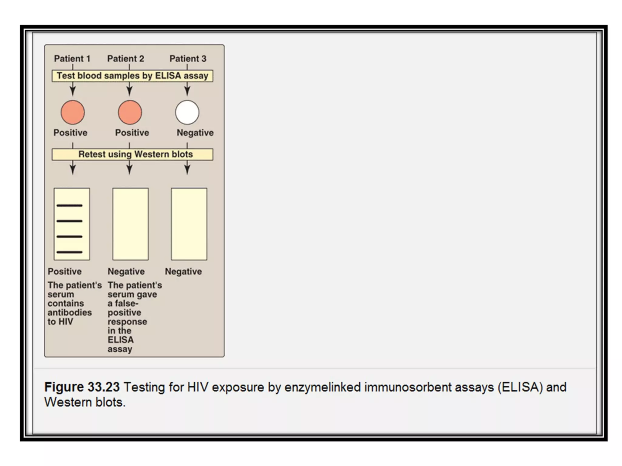 Analysis of gene expression | PPT