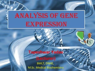 AnAlysis of Gene
expression
AnAlysis of Gene
expression
Tapeshwar Yadav
(Lecturer)
BMLT, DNHE,
M.Sc. Medical Biochemistry
 
