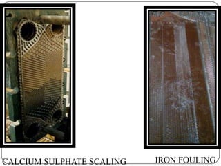 CALCIUM SULPHATE SCALING

IRON FOULING

 