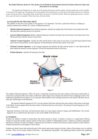 Analysis of knee joint in various postures and finite element analysis ...