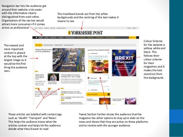 Website Review Tool & SEO Checker
