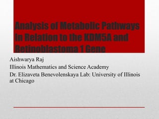 Analysis of Metabolic Pathways
In Relation to the KDM5A and
Retinoblastoma 1 Gene
Aishwarya Raj
Illinois Mathematics and Science Academy
Dr. Elizaveta Benevolenskaya Lab: University of Illinois
at Chicago

 