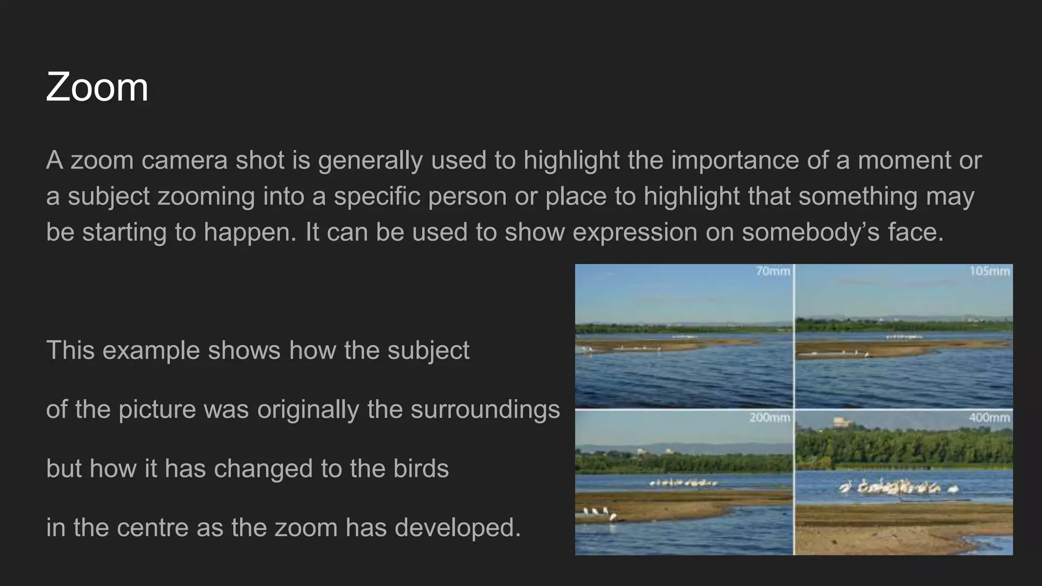 Zoom
A zoom camera shot is generally used to highlight the importance of a moment or
a subject zooming into a specific person or place to highlight that something may
be starting to happen. It can be used to show expression on somebody’s face.
This example shows how the subject
of the picture was originally the surroundings
but how it has changed to the birds
in the centre as the zoom has developed.