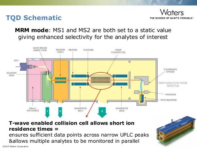 Analysis of Mycotoxins by UPLC and Tandem Quadrupole Mass ... diagram of nahco3 