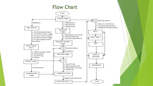 Histology Flow Chart