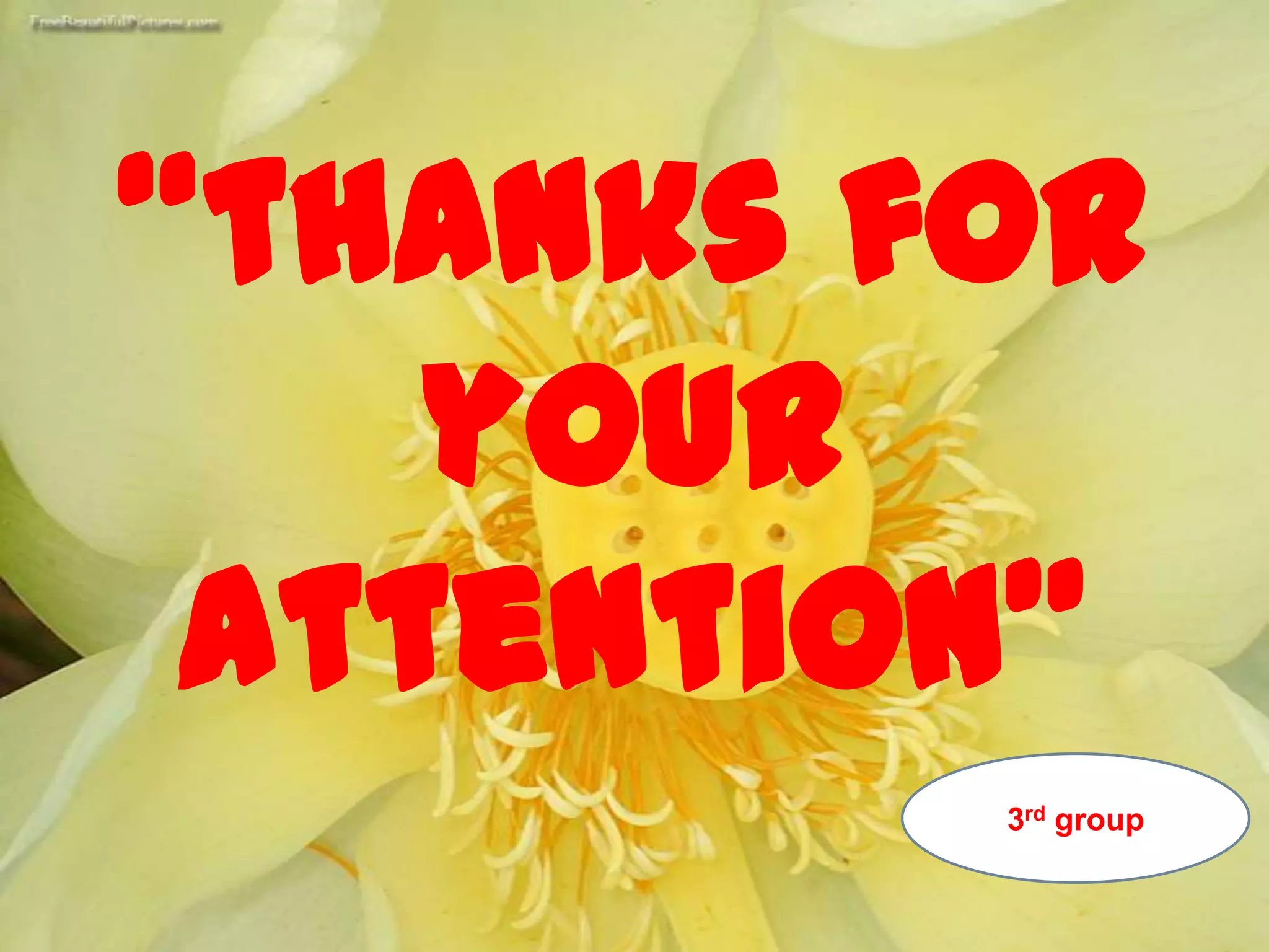 ‚thanks for
    your
 attention‛
         3rd group
 
