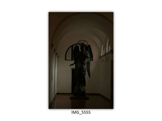 IMG_5555