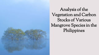 Analysis of the
Vegetation and Carbon
Stocks of Various
Mangrove Species in the
Philippines
 