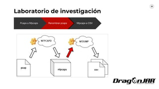 Laboratorio de investigación
30
Pcaps a Nfpcaps Renombrar pcaps Nfpcaps a CSV
Generador dataset
insumo
 