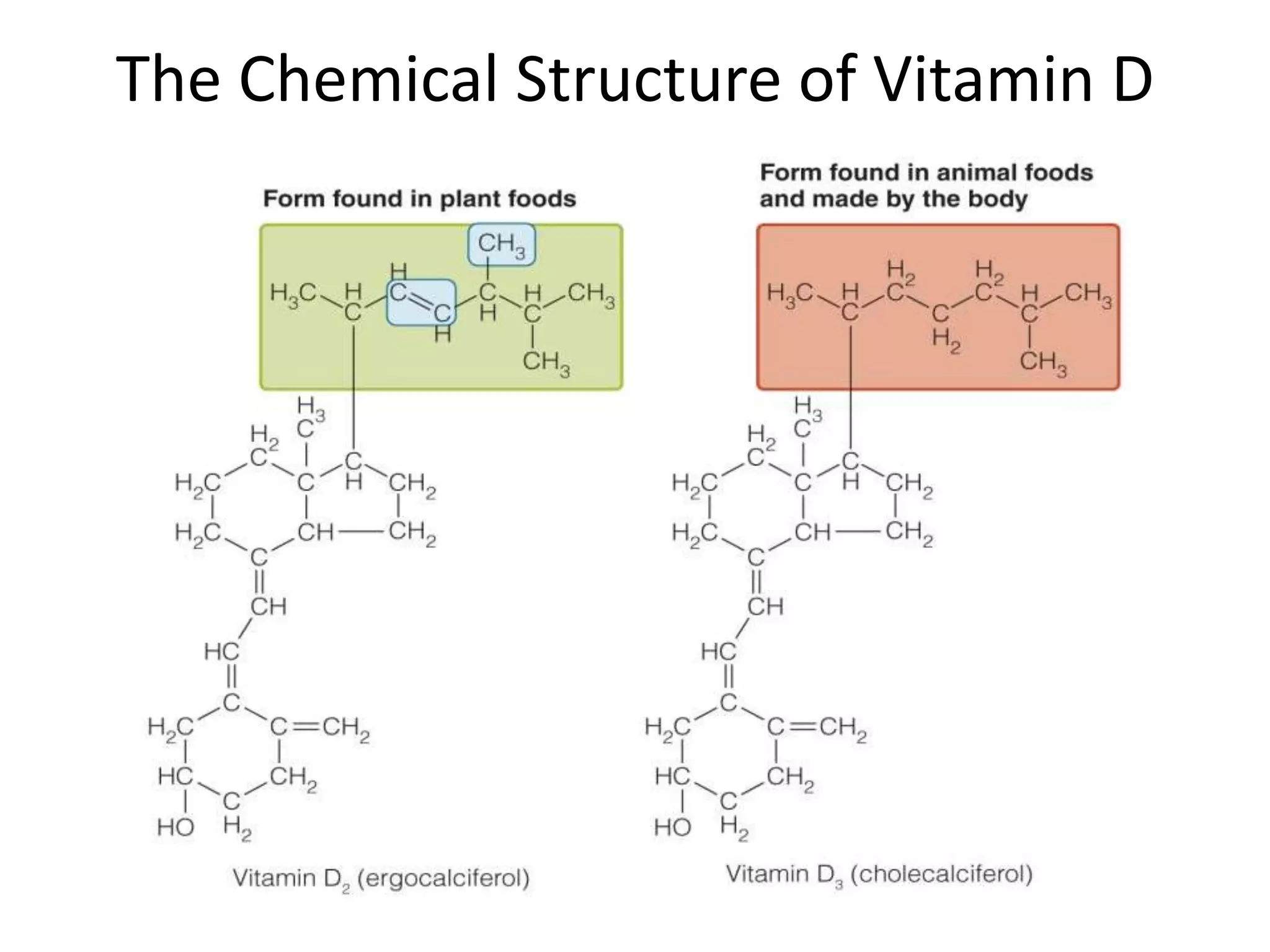 The Chemical Structure of Vitamin D
 