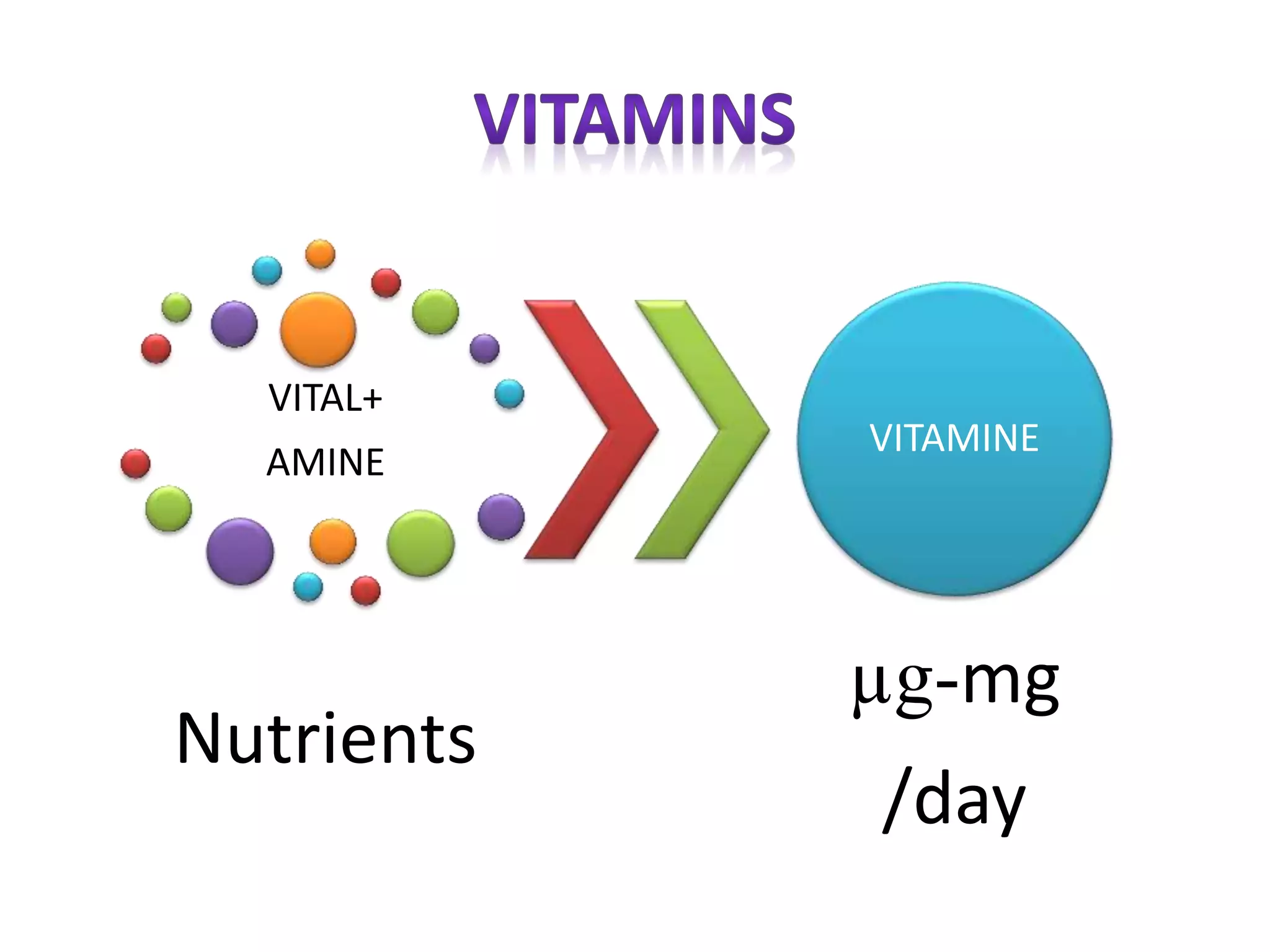 VITAL+
AMINE
Nutrients
VITAMINE
µg-mg
/day
 