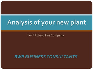For FitzbergTire Company
BWR BUSINESS CONSULTANTS
 