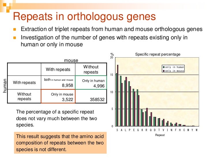 Comprehensive Analysis of Triplet Repeats in Vertebrate Genomes