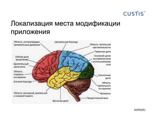 Локализация места модификации
приложения
42/60(65)
 