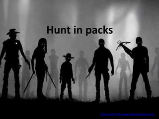 Toronto | June 12–14, 2013 | #SESTO | @SESConf
@gprzyklenk
Hunt in packs
Photo credit: http://www.nathanszerdyart.com/
 